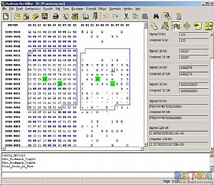 Hackman Hex Editor(十六进制编辑器)