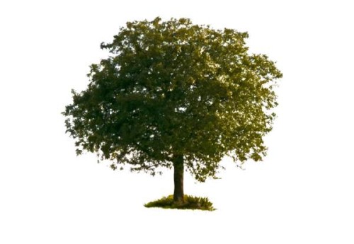 Photoshop教程：Photoshop中的蒙版趣味特效与使用技巧