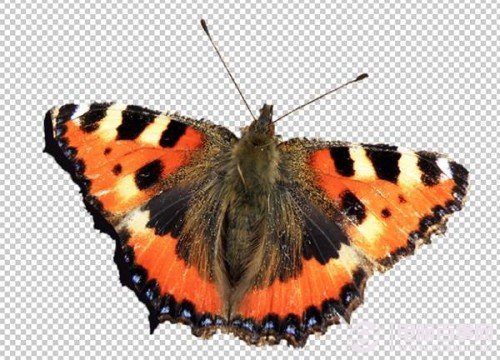 Photoshop教程：Photoshop中的蒙版趣味特效与使用技巧